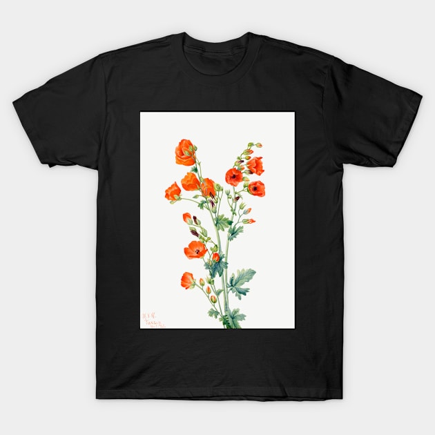 flowers painting, Scarlet Globe Mallow (1927) by Mary Vaux Walcott T-Shirt by T-SHIRT-2020